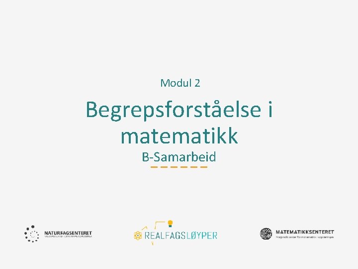 Modul 2 Begrepsforståelse i matematikk B-Samarbeid 