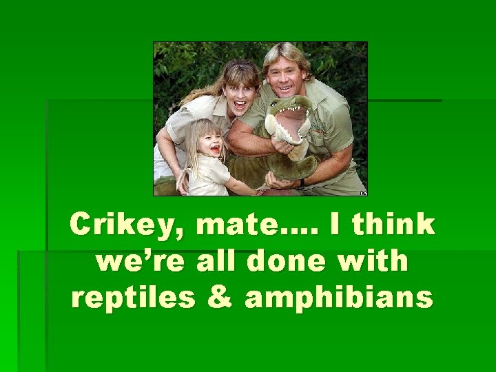 Crikey, mate…. I think we’re all done with reptiles & amphibians 