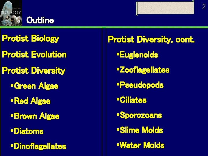 2 Outline Protist Biology Protist Diversity, cont. Protist Evolution Euglenoids Protist Diversity Zooflagellates Green