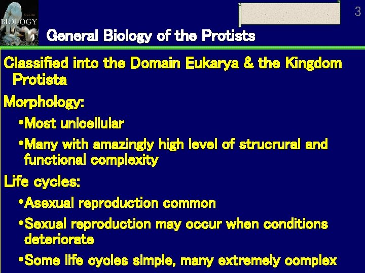 3 General Biology of the Protists Classified into the Domain Eukarya & the Kingdom