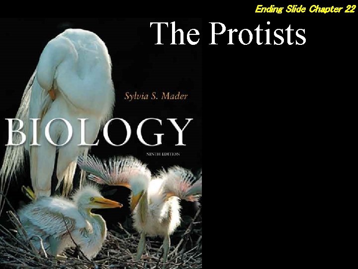 Ending Slide Chapter 22 The Protists 