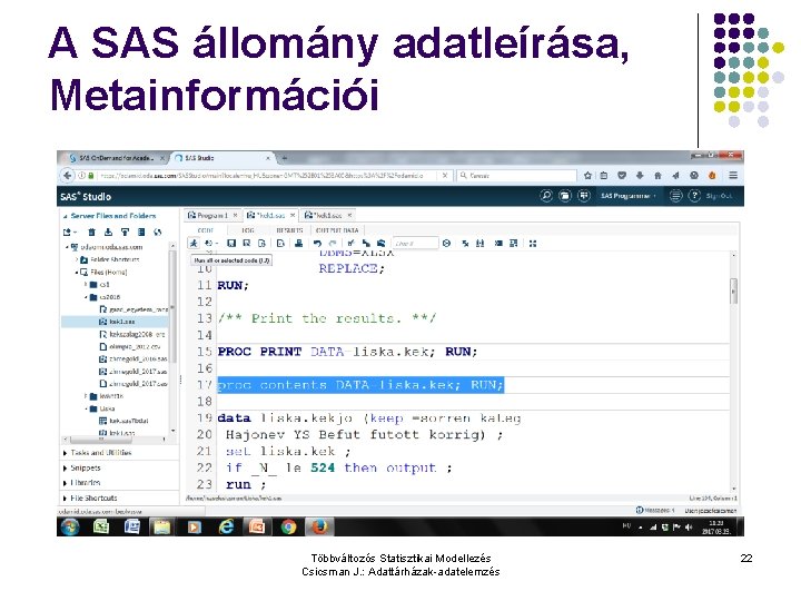 A SAS állomány adatleírása, Metainformációi Többváltozós Statisztikai Modellezés Csicsman J. : Adattárházak-adatelemzés 22 