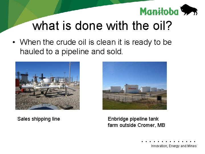 what is done with the oil? • When the crude oil is clean it