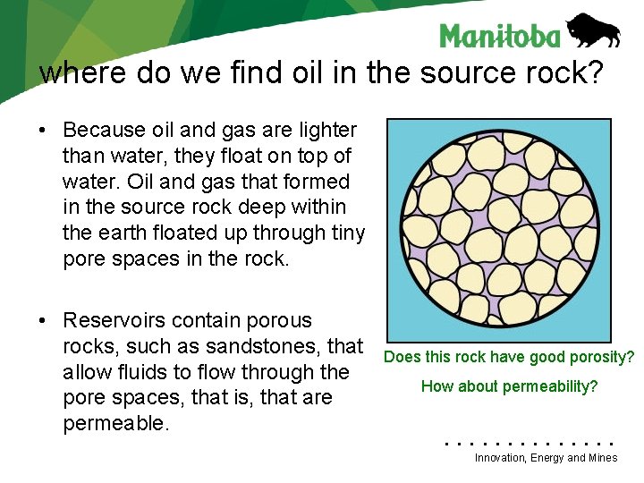 where do we find oil in the source rock? • Because oil and gas