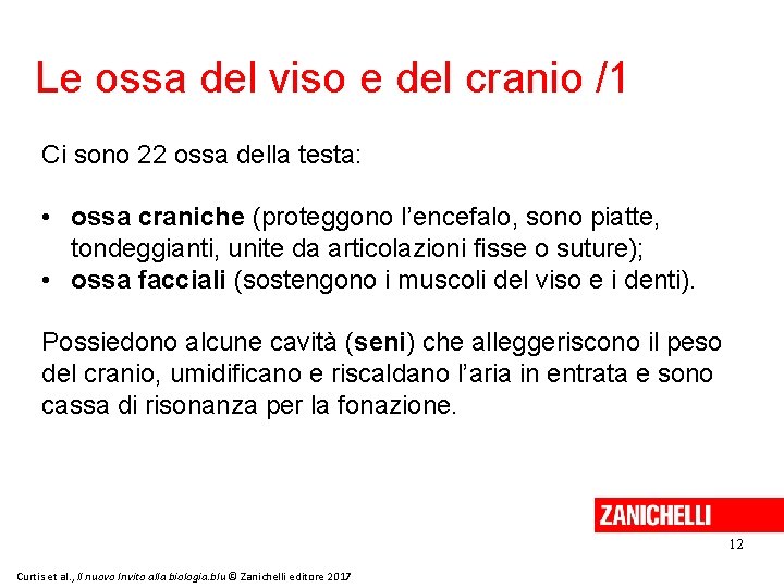 Le ossa del viso e del cranio /1 Ci sono 22 ossa della testa: