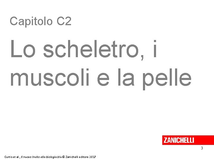 Capitolo C 2 Lo scheletro, i muscoli e la pelle 3 Curtis et al.