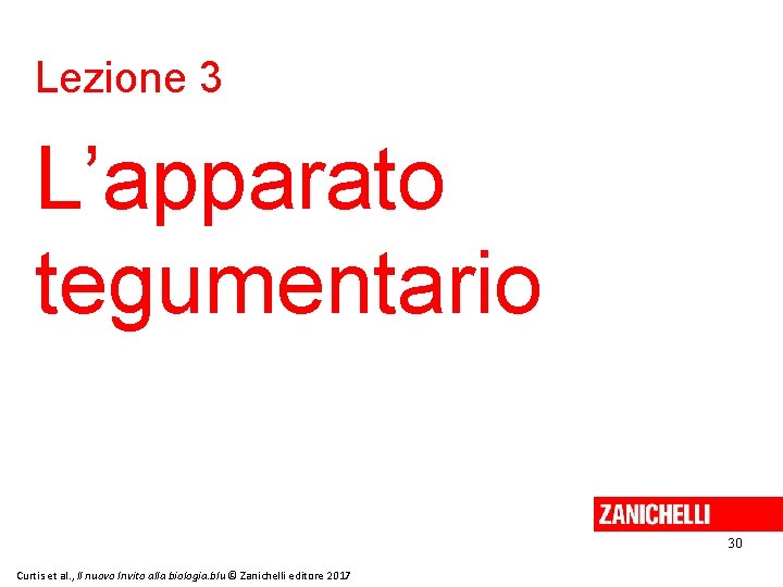 Lezione 3 L’apparato tegumentario 30 Curtis et al. , Il nuovo Invito alla biologia.