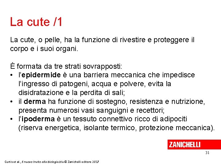 La cute /1 La cute, o pelle, ha la funzione di rivestire e proteggere