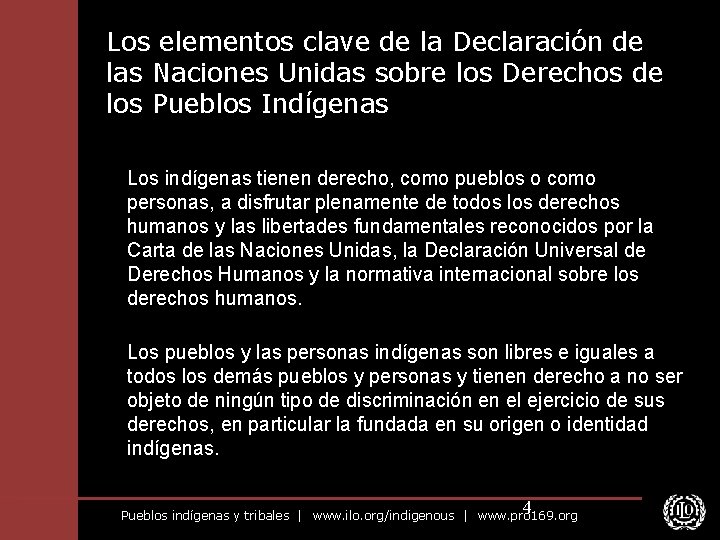 Los elementos clave de la Declaración de las Naciones Unidas sobre los Derechos de