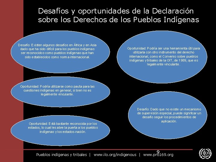 Desafíos y oportunidades de la Declaración sobre los Derechos de los Pueblos Indígenas Desafío: