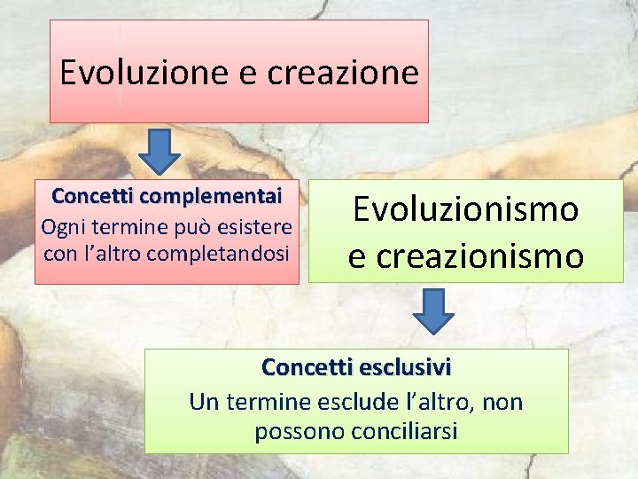 Evoluzione e creazione Concetti complementai Ogni termine può esistere con l’altro completandosi Evoluzionismo e