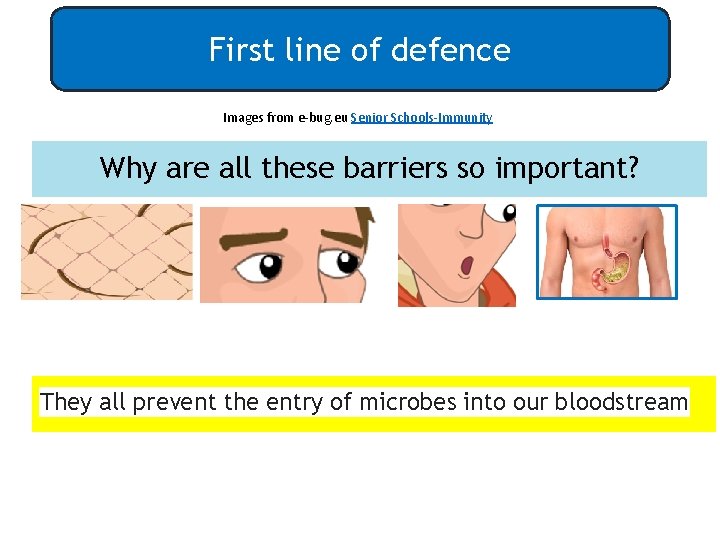 First line of defence Images from e-bug. eu Senior Schools-Immunity Why are all these