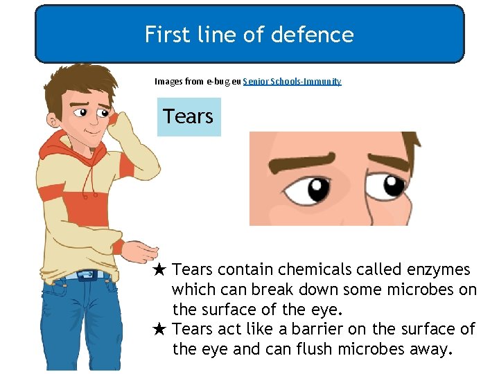 First line of defence Images from e-bug. eu Senior Schools-Immunity Tears ★ Tears contain