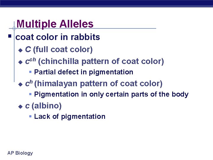 Multiple Alleles coat color in rabbits C (full coat color) u cch (chinchilla pattern