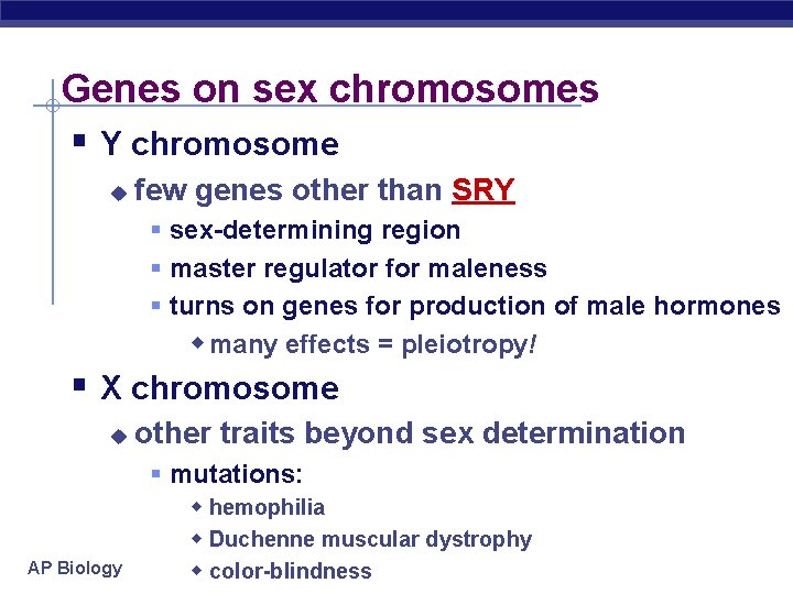 Genes on sex chromosomes Y chromosome u few genes other than SRY sex-determining region