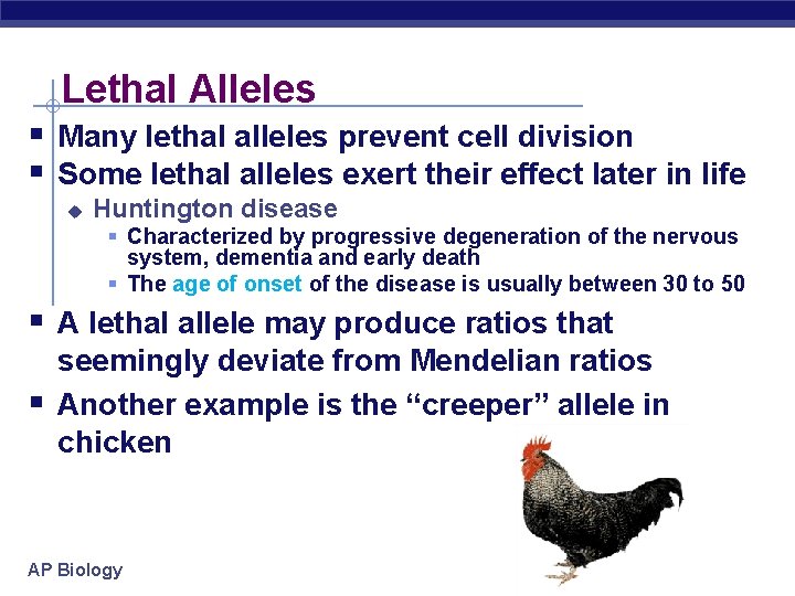 Lethal Alleles Many lethal alleles prevent cell division Some lethal alleles exert their effect