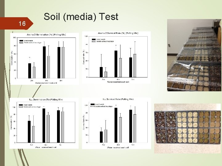 16 Soil (media) Test 