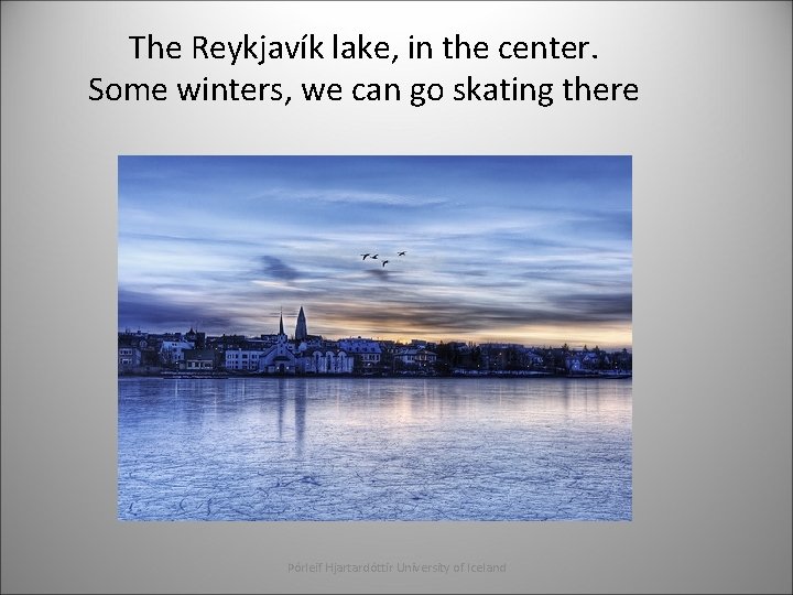 The Reykjavík lake, in the center. Some winters, we can go skating there Þórleif