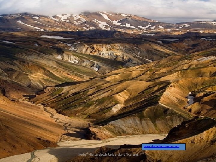 www. danielbergmann. com Þórleif Hjartardóttir University of Iceland 