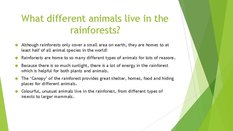 What different animals live in the rainforests? Although rainforests only cover a small area