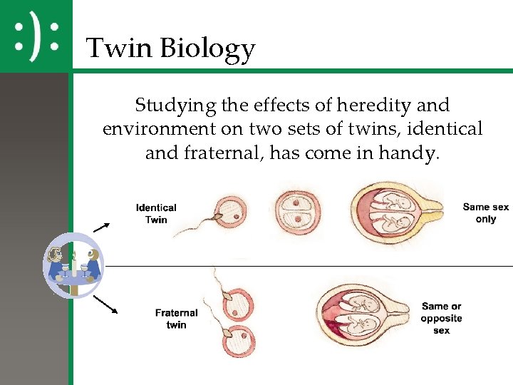 Twin Biology Studying the effects of heredity and environment on two sets of twins,