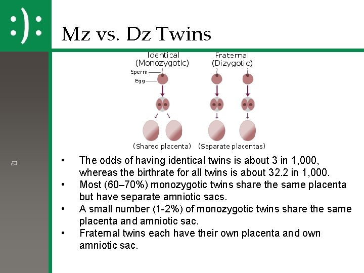 Mz vs. Dz Twins • • The odds of having identical twins is about