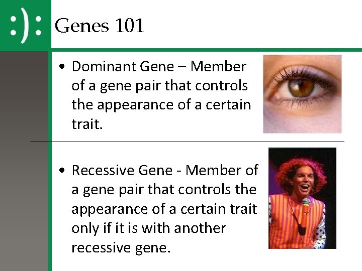 Genes 101 • Dominant Gene – Member of a gene pair that controls the