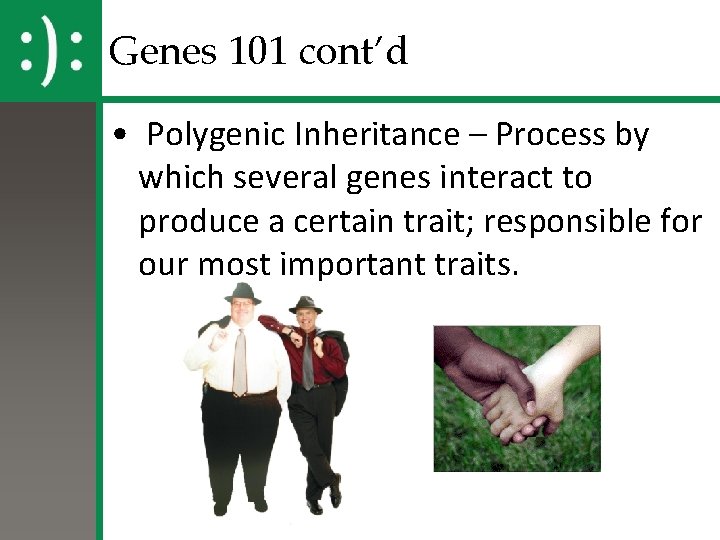 Genes 101 cont’d • Polygenic Inheritance – Process by which several genes interact to