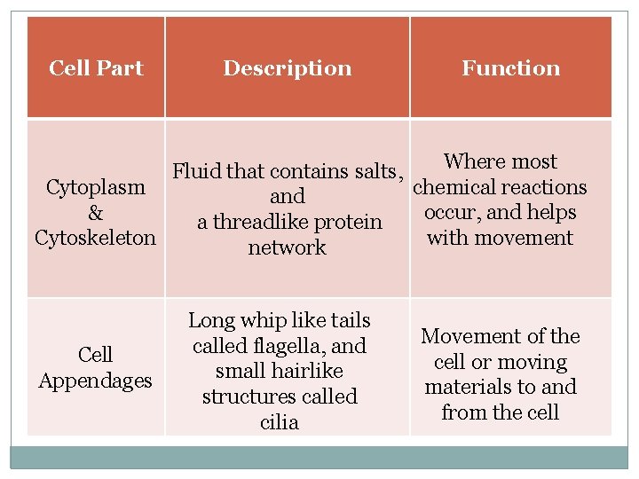 Cell Part Description Function Where most Fluid that contains salts, chemical reactions Cytoplasm and