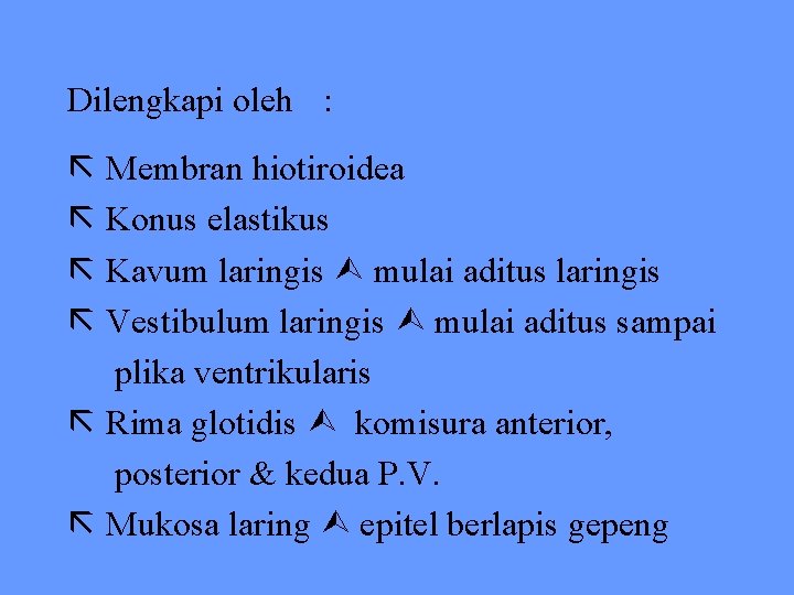 Dilengkapi oleh : Membran hiotiroidea Konus elastikus Kavum laringis mulai aditus laringis Vestibulum laringis