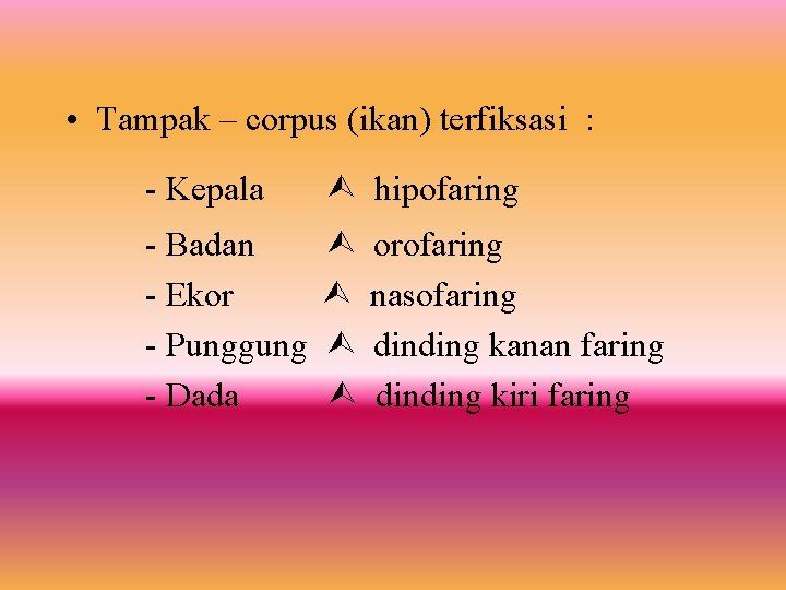  • Tampak – corpus (ikan) terfiksasi : - Kepala hipofaring - Badan -