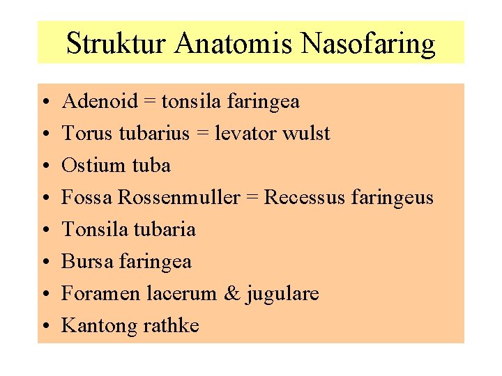 Struktur Anatomis Nasofaring • • Adenoid = tonsila faringea Torus tubarius = levator wulst