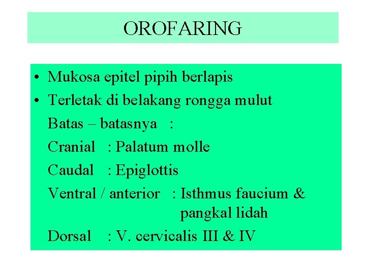 OROFARING • Mukosa epitel pipih berlapis • Terletak di belakang rongga mulut Batas –