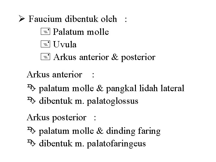  Faucium dibentuk oleh : Palatum molle Uvula Arkus anterior & posterior Arkus anterior