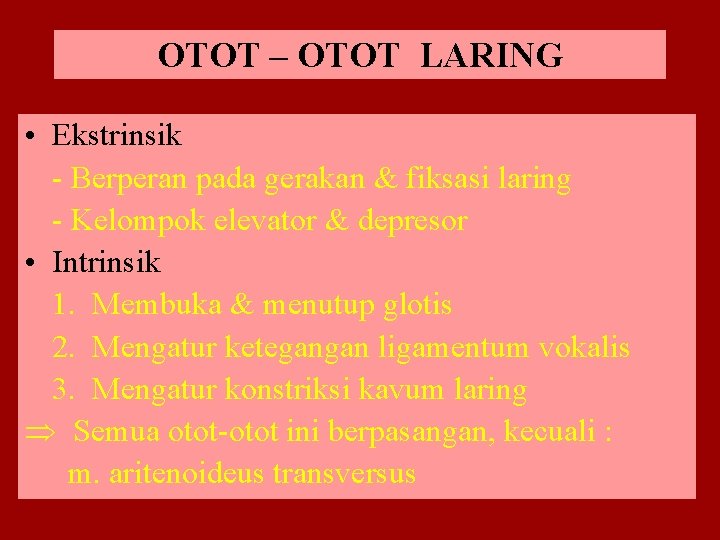 OTOT – OTOT LARING • Ekstrinsik - Berperan pada gerakan & fiksasi laring -
