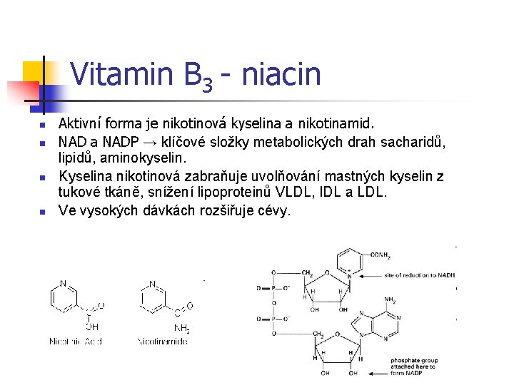 Vitamin B 3 - niacin n n Aktivní forma je nikotinová kyselina a nikotinamid.