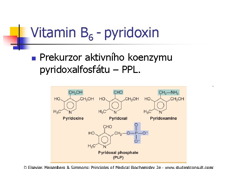 Vitamin B 6 - pyridoxin n Prekurzor aktivního koenzymu pyridoxalfosfátu – PPL. 