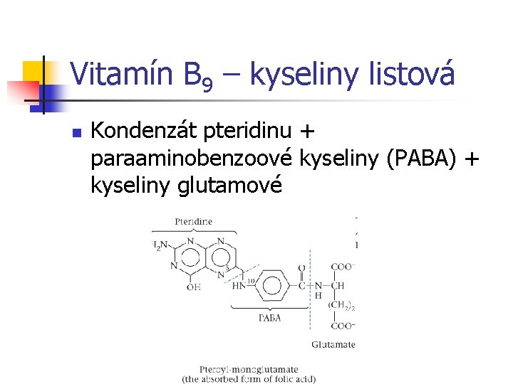 Vitamín B 9 – kyseliny listová n Kondenzát pteridinu + paraaminobenzoové kyseliny (PABA) +
