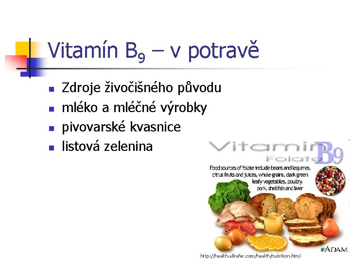 Vitamín B 9 – v potravě n n Zdroje živočišného původu mléko a mléčné