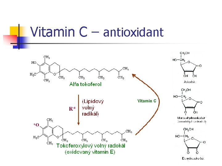 Vitamin C – antioxidant 