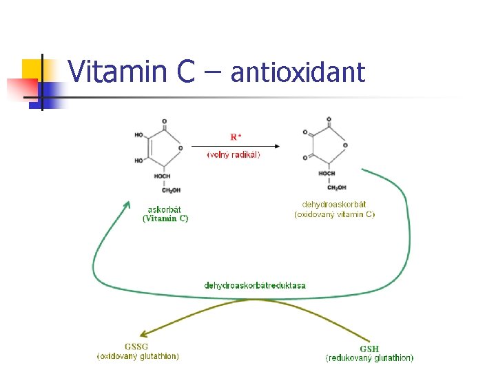 Vitamin C – antioxidant 