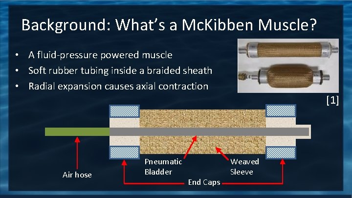 Background: What’s a Mc. Kibben Muscle? • A fluid-pressure powered muscle • Soft rubber