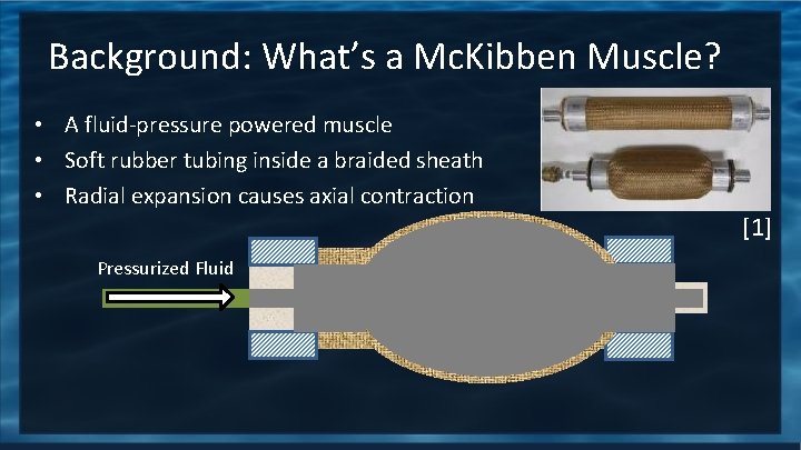 Background: What’s a Mc. Kibben Muscle? • A fluid-pressure powered muscle • Soft rubber