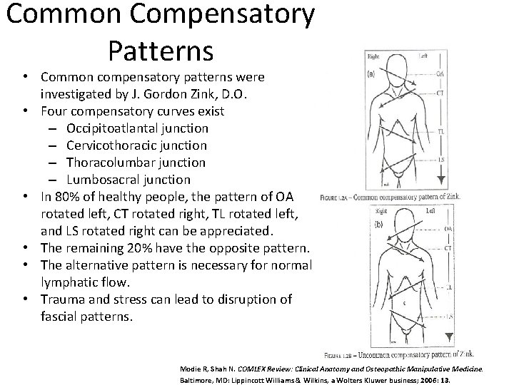 Common Compensatory Patterns • Common compensatory patterns were investigated by J. Gordon Zink, D.