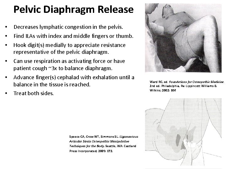 Pelvic Diaphragm Release • • • Decreases lymphatic congestion in the pelvis. • Can