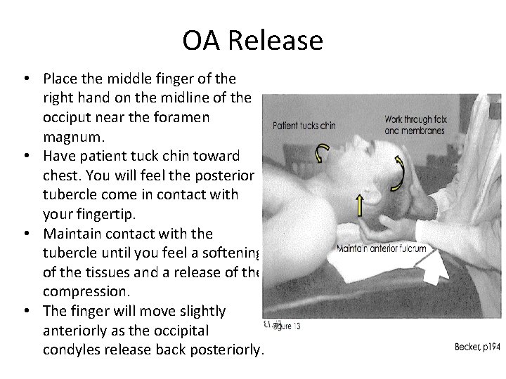 OA Release • Place the middle finger of the right hand on the midline