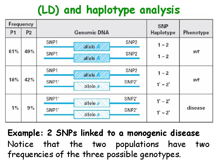 (LD) and haplotype analysis Example: 2 SNPs linked to a monogenic disease Notice that