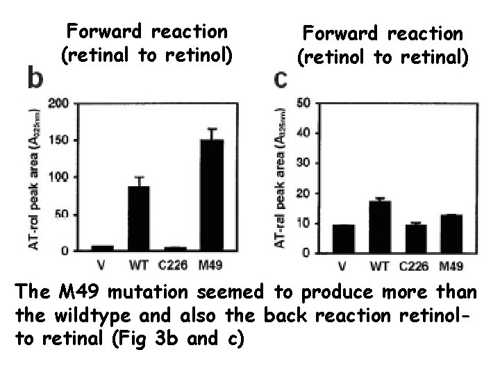 Forward reaction (retinal to retinol) Forward reaction (retinol to retinal) The M 49 mutation