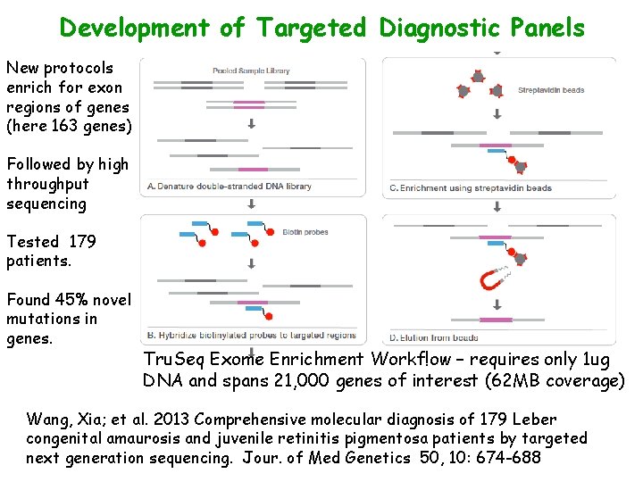 Development of Targeted Diagnostic Panels New protocols enrich for exon regions of genes (here