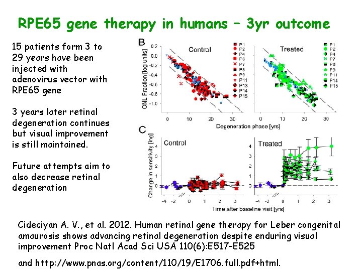 RPE 65 gene therapy in humans – 3 yr outcome 15 patients form 3